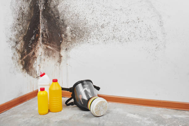 Best Crawl Space Mold Removal  in Dent, OH