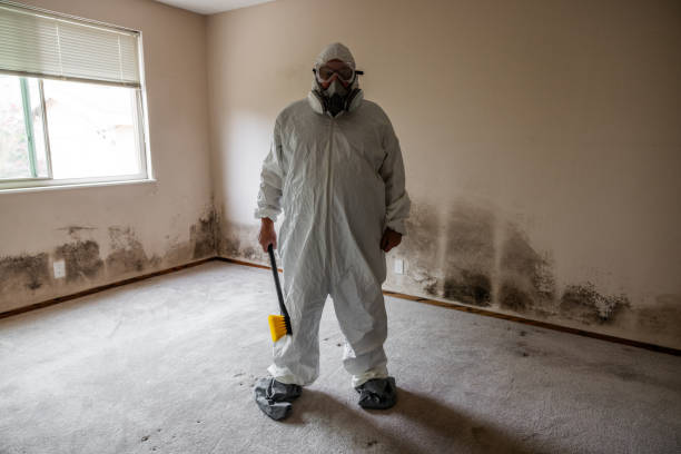 Best Residential Mold Removal  in Dent, OH